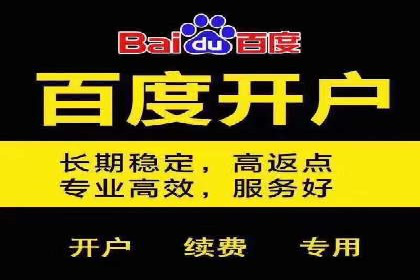 百度竞价账户托管的技巧与策略：从入门到精通的案例解析